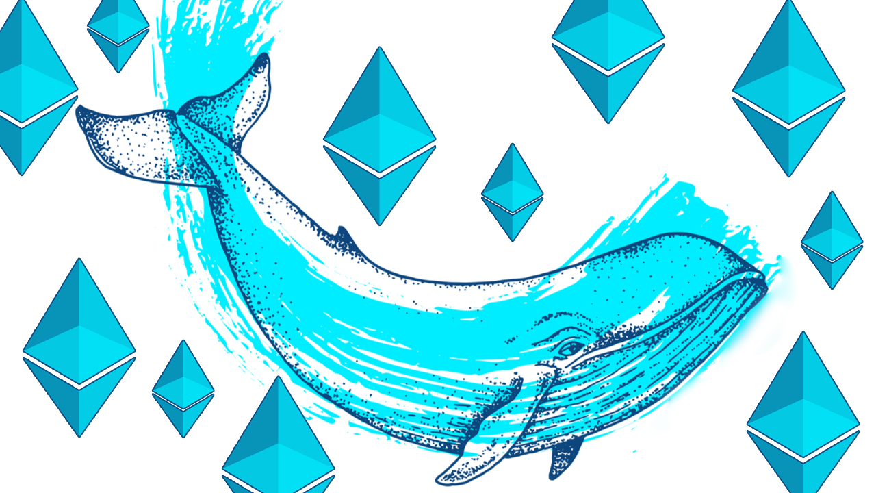 Whale Watching: A Deep Dive Into the Portfolios of the World’s Largest Ethereum Whales
