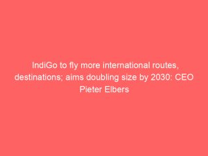 IndiGo to fly more international routes, destinations; aims doubling size by 2030: CEO Pieter Elbers