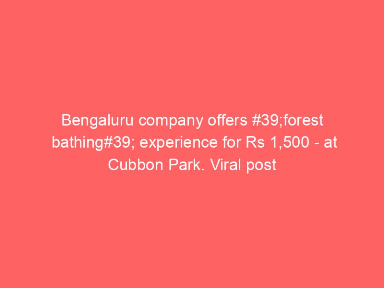 Bengaluru company offers #39;forest bathing#39; experience for Rs 1,500 – at Cubbon Park. Viral post