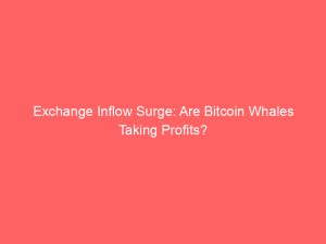 Exchange Inflow Surge: Are Bitcoin Whales Taking Profits?