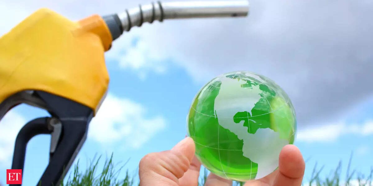 India’s ethanol strategy raises concerns among automakers and consumers
