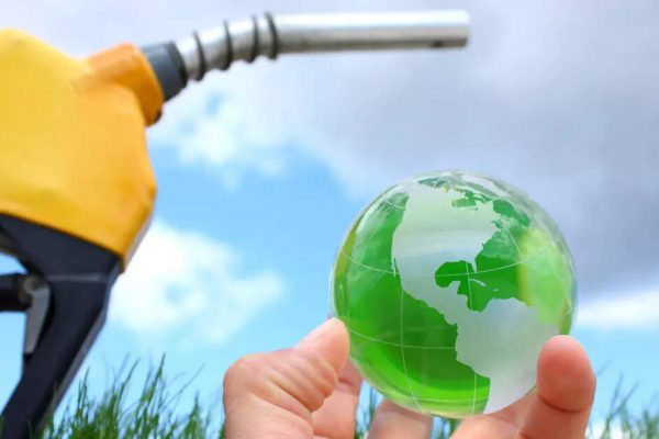 India’s ethanol strategy raises concerns among automakers and consumers