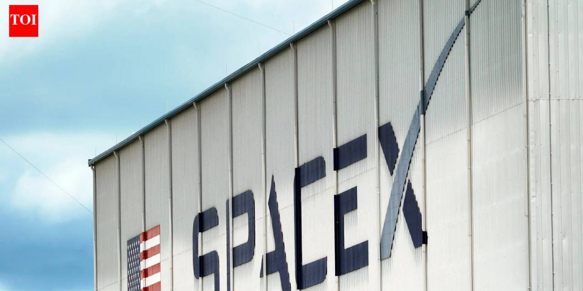 Google to Pay $920 Million a Month for Computing Power from Spacex